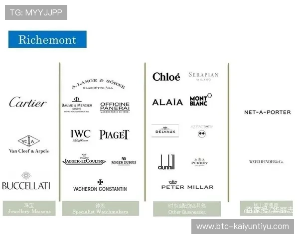 了解开云集团与LVMH在奢侈品行业中的创新战略及其对消费者体验的提升